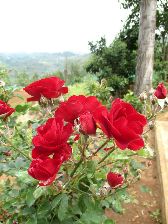 Relaxing 2 B/R Estate House, Deenaty, Tamil Nadu Коимбаторе Екстериор снимка
